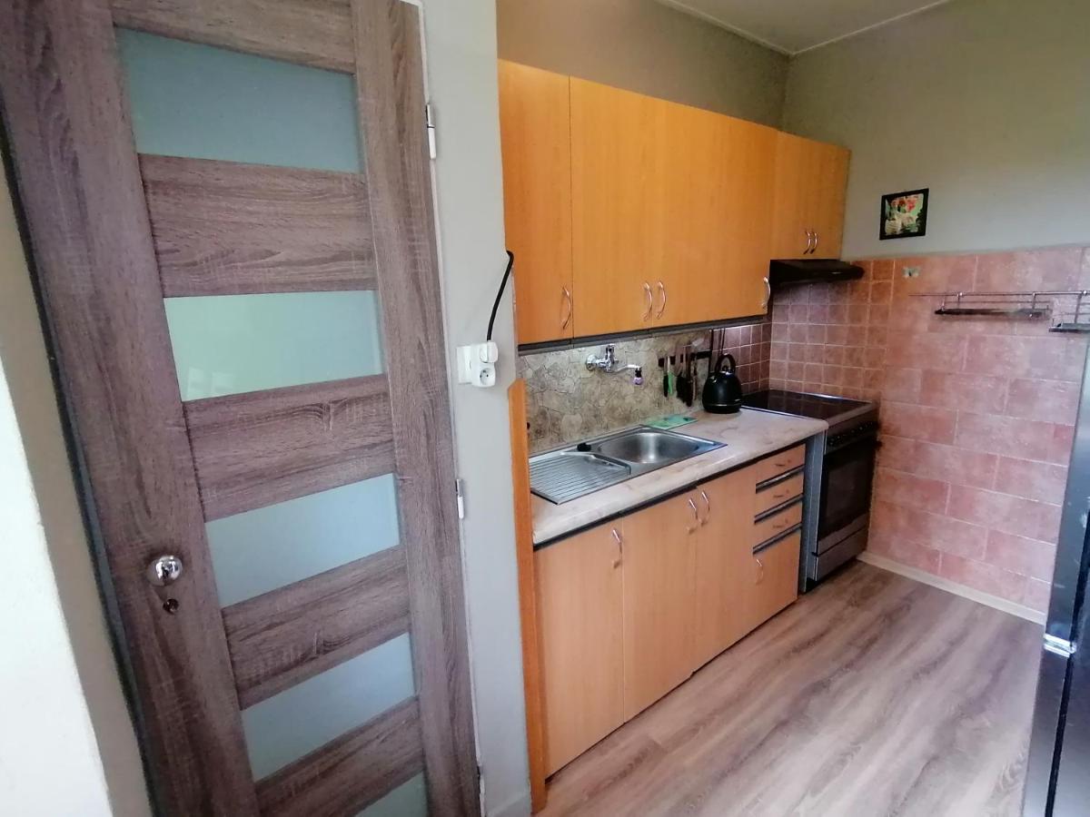 Rekreacni Chata Menfis Hořice na Šumavě エクステリア 写真